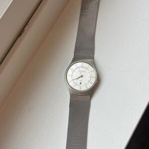 Skagen 233XLSGS Men’s Silver Mesh Watch